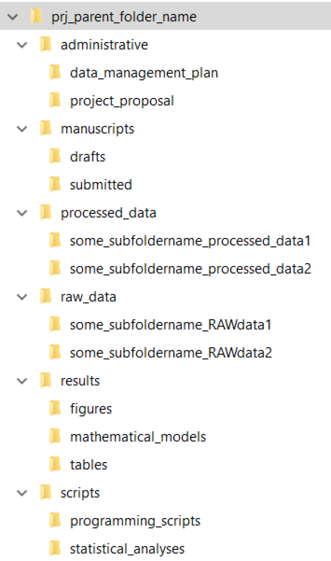 rdm-folder-structure